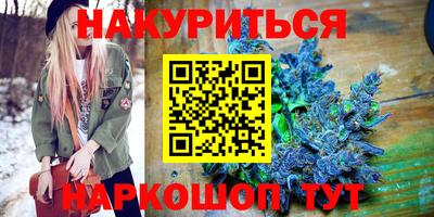 индика Гай