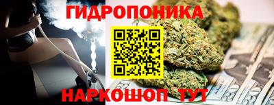 индика Гай