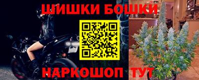 индика Гай